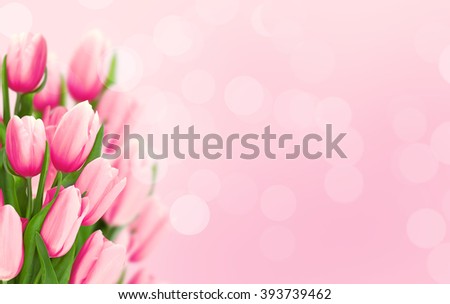 Bouquet of tulips on pink background with space for message. Valentine\'s Day and Mother\'s Day background. Toned image. Soft focus.
