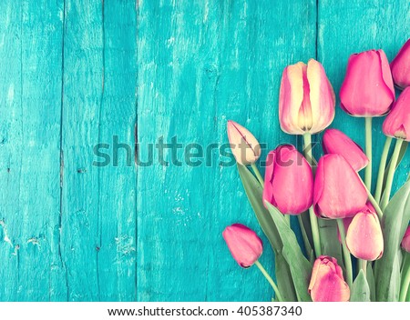Frame of tulips on turquoise rustic wooden background. Spring flowers. Spring background. Valentine\'s Day and Mother\'s Day background. Top view.