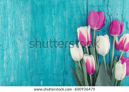 Frame of tulips on turquoise rustic wooden background. Spring flowers. Greeting card for Valentine\'s Day, Woman\'s Day and Mother\'s Day. Top view.