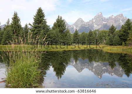 Grand Teton Mountains and pine trees reflecting in water