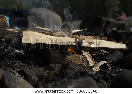 A small fire just starting in a fireplace with some birch wood