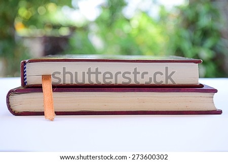 Two books on natural green background