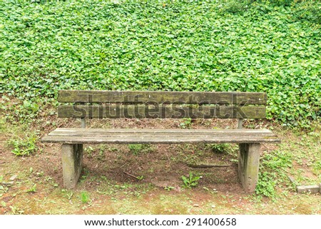 Old park bench in the park