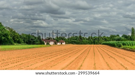 freshly sown land with cloudy sky and Farm