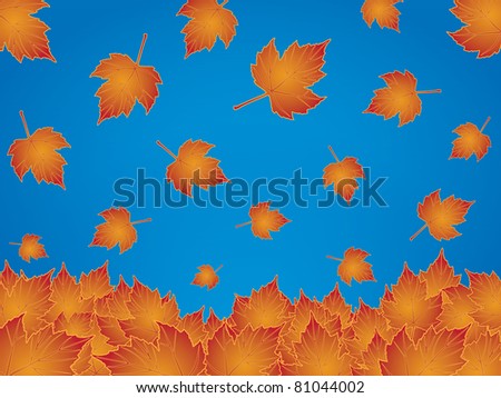 Autumn leaves falling on a blue graduated sky
