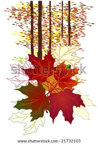 Season series: Autumn landscape with trees and leaves