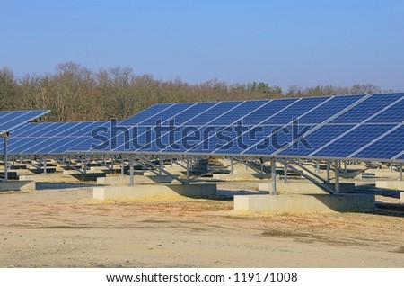 solar plant on field