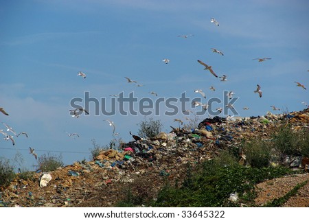 garbage dump