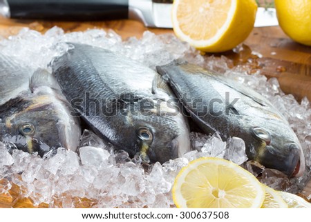 three gilt-head fish and lemonon with ice on wooden plate