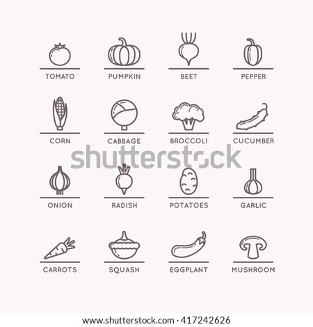 Linear icons of vegetables. Silhouette images of products and food. Vector illustration.