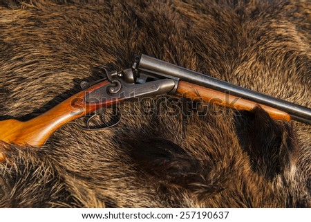 hunting gun on the skin of wild boar