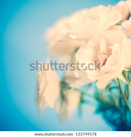 Vintage roses on blue background