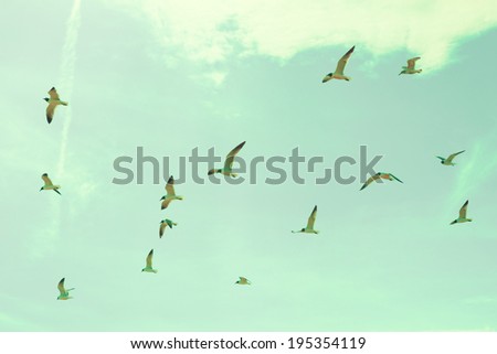 Birds in Retro Sky