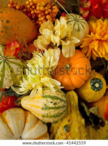 Autumn Gourds and Flowers