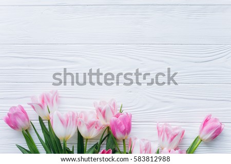 Wooden white background and pink tulips. Conception holiday, March 8, Mother\'s Day.