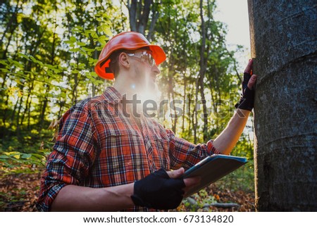 Forester examines the trees in the forest using a tablet pc