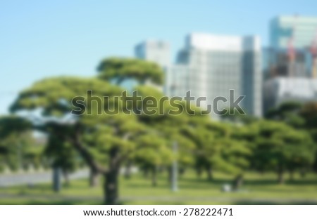 green tree in public park blur background