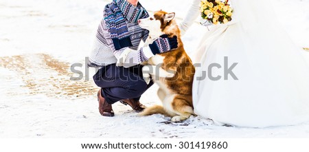 Husky dog  playing with  man and  woman