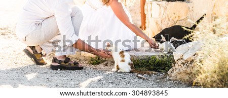 young man and woman feeding  cats in a park
