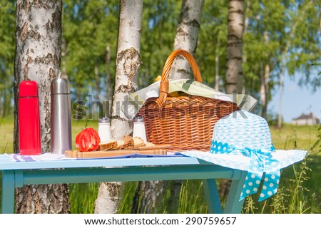 picnic in the woods
