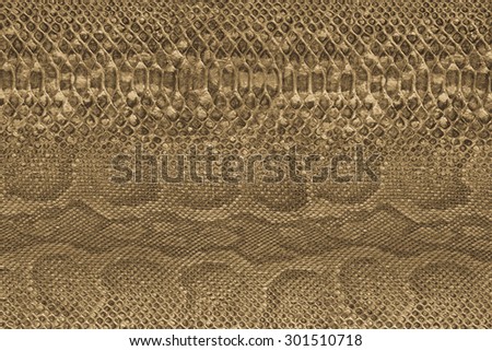 Background. Colored paper structure. Animal skin structure