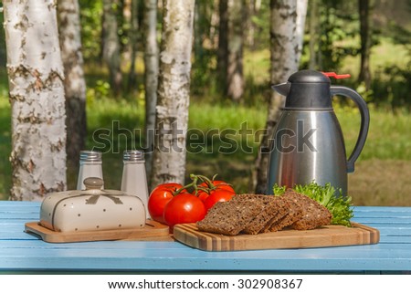 Picnic in the forest of birch