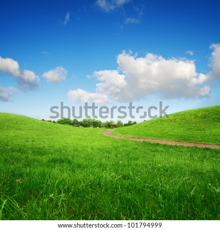 grassy green hills and lane to remote trees on blue sky background
