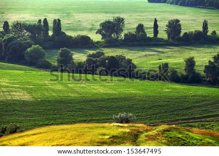 green summer field and hills with trees, rural landscape