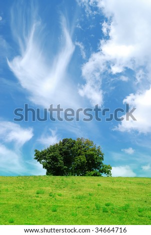 field and tree on blue sky background