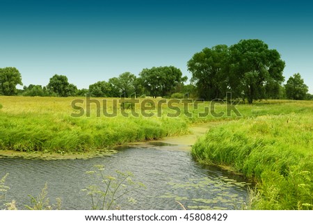 Pictures Of Trees In The Summer. trees. Summer landscape