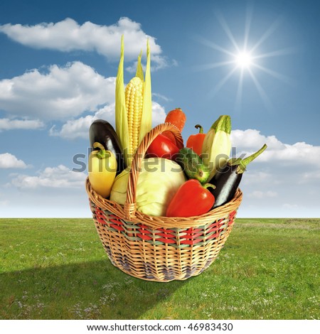 Basket for picnic with vegetables on grass