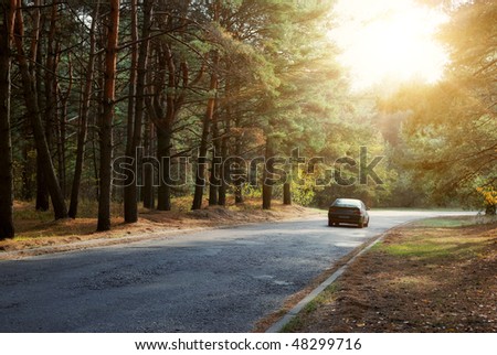 car driving on forest road and sun beams