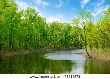 green spring  trees and water of river
