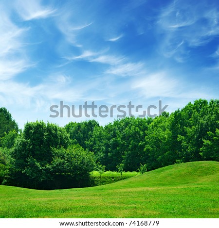 green meadow and blue sky with clouds