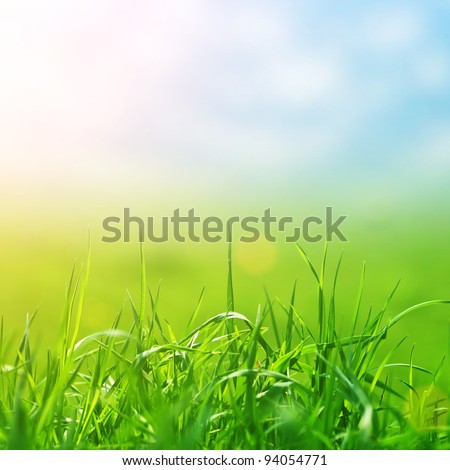 spring grass in sun light and defocused sky on background