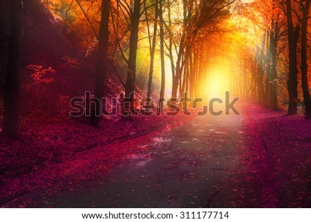 fantasy scene in autumn park with sun rays and colorful leaves on road