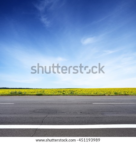 Road and sun flowers field with blue sky above. Summer landscape