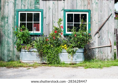 flowers growing in a big tin tub outside a rustic wooden barn with windows