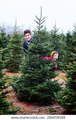 two brothers having fun at a cut your own christmas tree farm