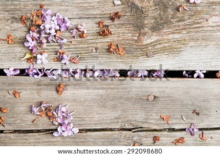 dead lilac flowers laying on deck boards