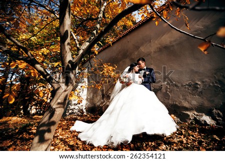Kissing bride and groom in their wedding day near autumn tree
