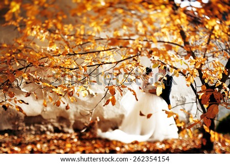 Kissing bride and groom in their wedding day near autumn tree