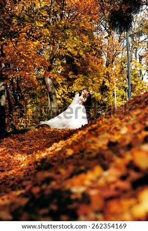 happy bride and groom walking in the autumn forest. park. many yellow leaves