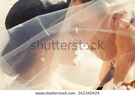 bride and groom covered with veil close-up