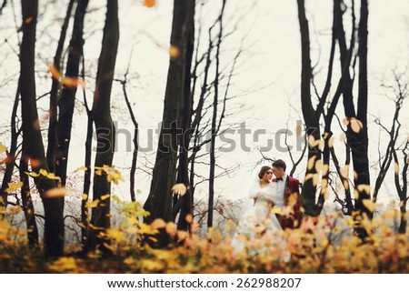 Stylish young wedding couple in love against the background of autumn forest, blur