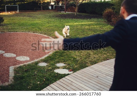 funny white dog happy Golden Retrievers running into the arms of the man in the grass