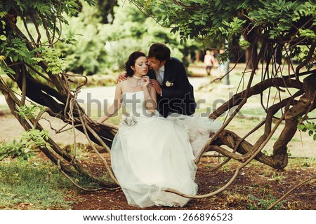 Gentle stylish beautiful bride and groom sitting in a tree look at each other smiling  kissing in a park close-up Roma Italy