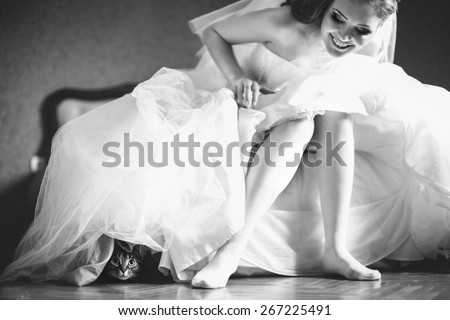 funny cat sitting under beautiful brides dress, wedding morning