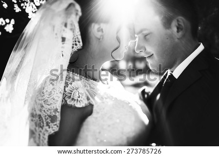bride and groom  kissing close up sunshine black and white