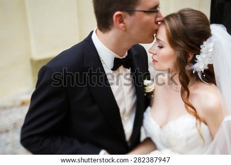 happy cute groom and bride are hugging  and kissing on the background vienna